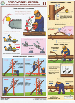 ПС25 Бензомоторная пила. Безопасность работ на лесосеке (пластик, А2, 3 листа) - Плакаты - Безопасность труда - магазин "Охрана труда и Техника безопасности"