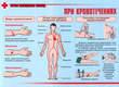 ПВ05 Первая помощь при чрезвычайных ситуациях (самокл.пленка, А3, 9 листов) - Плакаты - Медицинская помощь - магазин "Охрана труда и Техника безопасности"